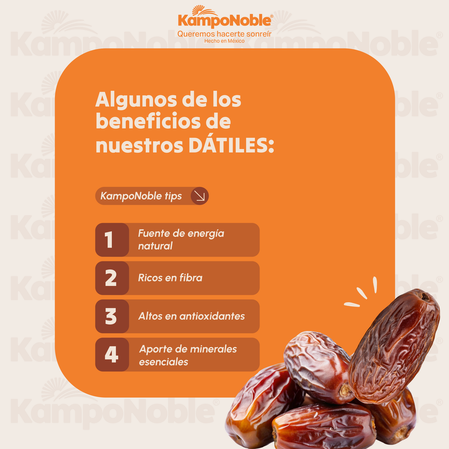 Dátil Deshidratado Con Hueso